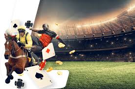 Claim bonuses every day and maximize your gambling experience